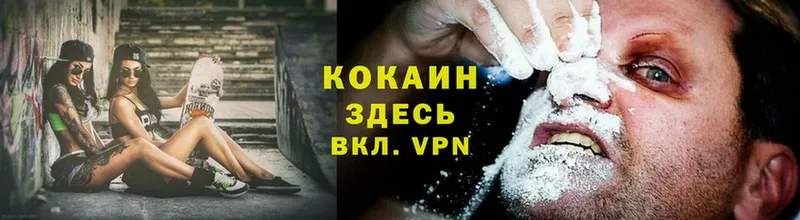 хочу наркоту  Заводоуковск  COCAIN VHQ 